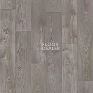 Линолеум Tarkett Фаворит Carter 1 фото 1 | FLOORDEALER